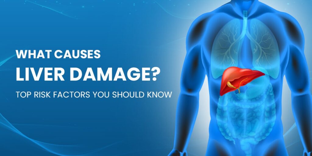 Can Liver Damage Be Reversed Facts You Must Know